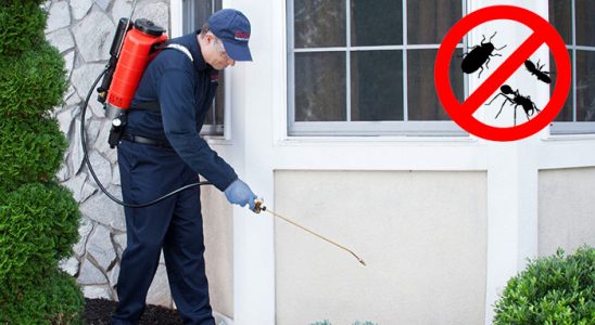 Bademler Bit İlaçlama böcek ilaçlama ve haşere kontrolü — ilaclama-tr.com